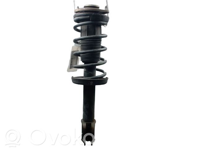 Stoßdämpfer vorne   110459