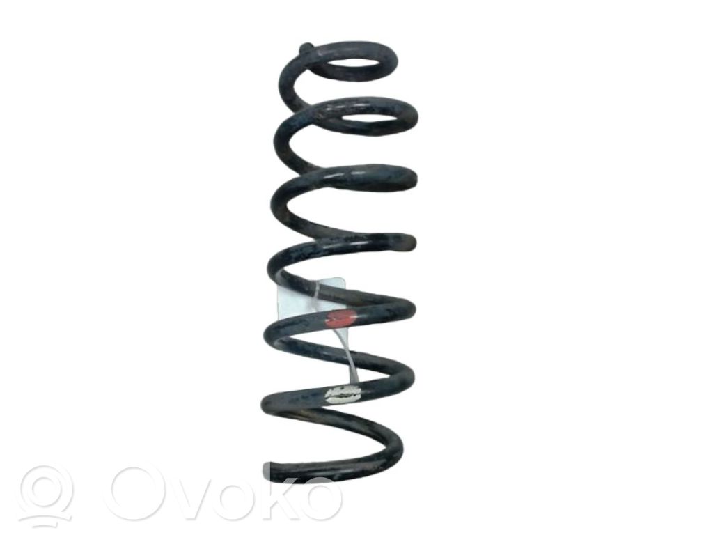 Nissan Qashqai Arc elicoidal spate 