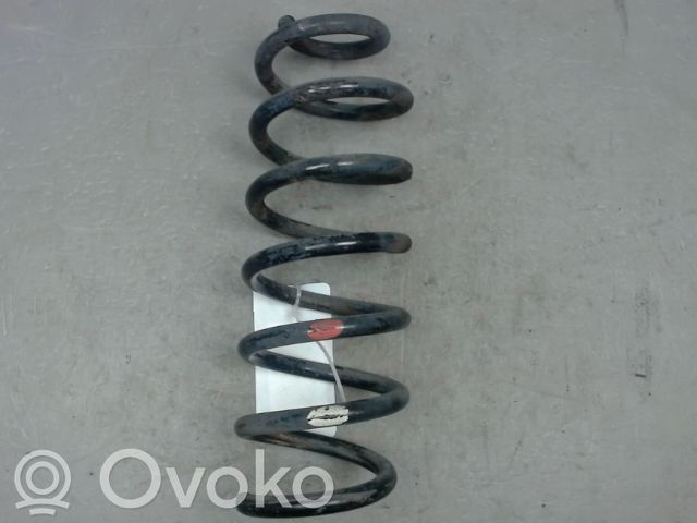 Nissan Qashqai Arc elicoidal spate 