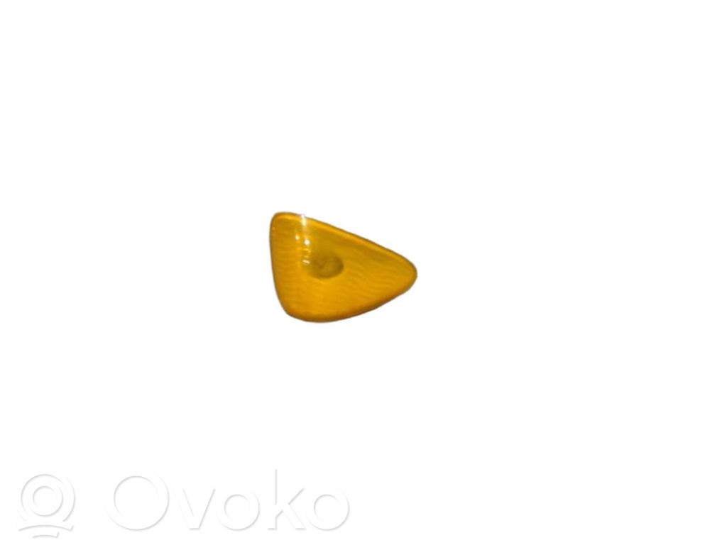 Renault Modus Mirror indicator light 