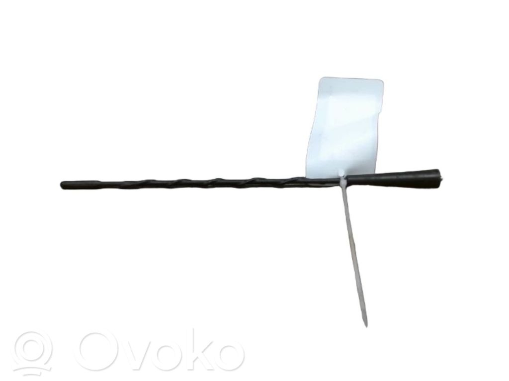 Renault Kangoo II Antenna autoradio