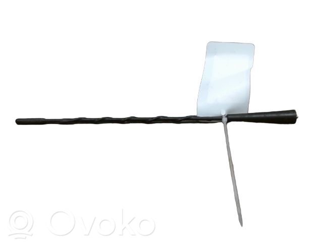 Renault Kangoo II Antenă radio