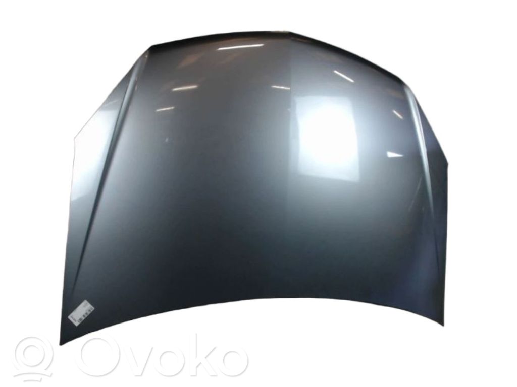 Motorhaube   93178717,03732100,05033062,1160254,3745660,5052280,5052280A1,531,93178717