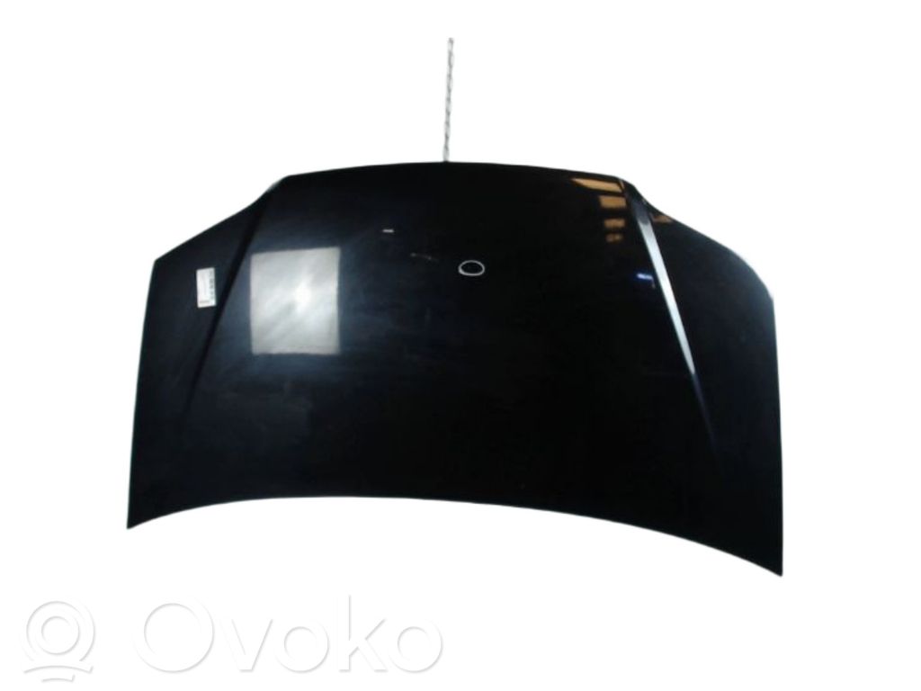 Fiat Idea Motorhaube