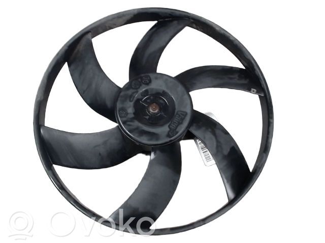 Elektrolüfter   7701035691,698191,7701035691,8566270B
