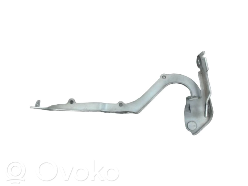 Peugeot 2008 I Cerniere del vano motore/cofano