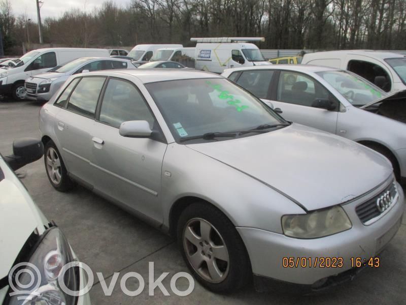 Audi A3 S3 8L Puerta delantera 