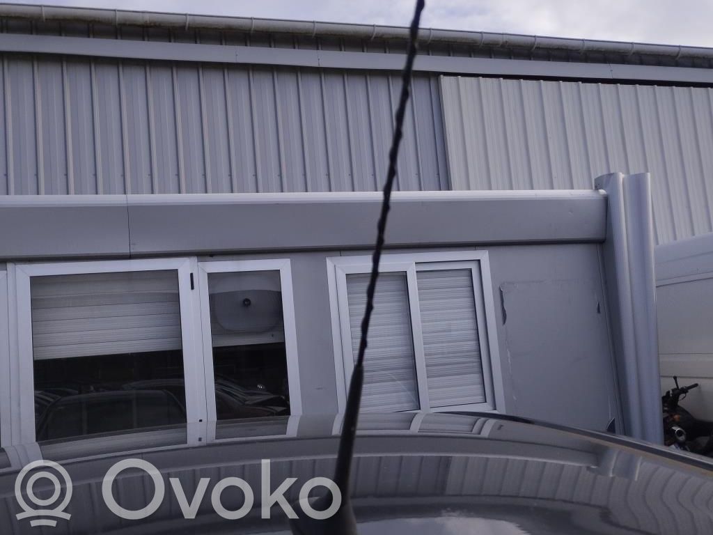 Citroen C3 Radion antenni 
