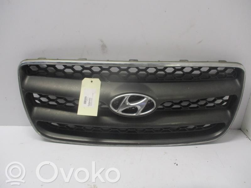 Hyundai Santa Fe Front grill 