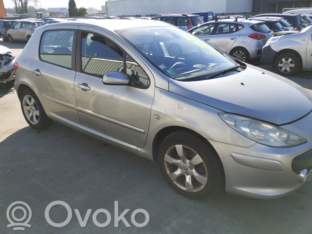 Peugeot 307 Sparnas 