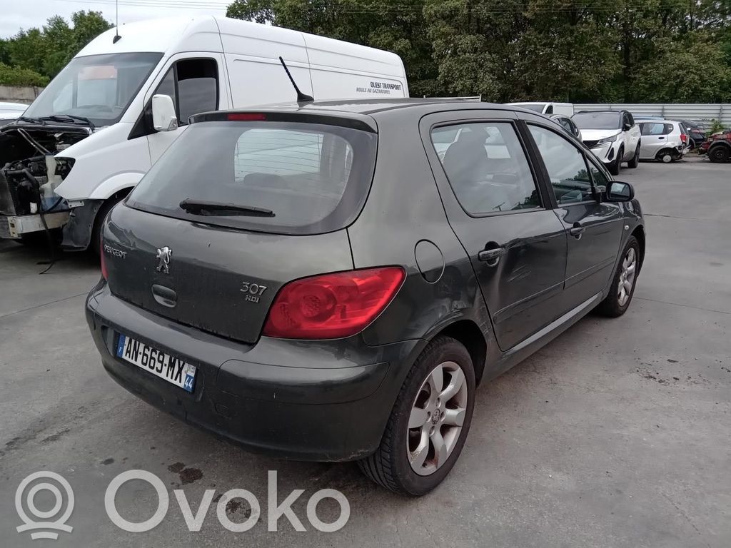 Peugeot 307 Third/center stoplight 