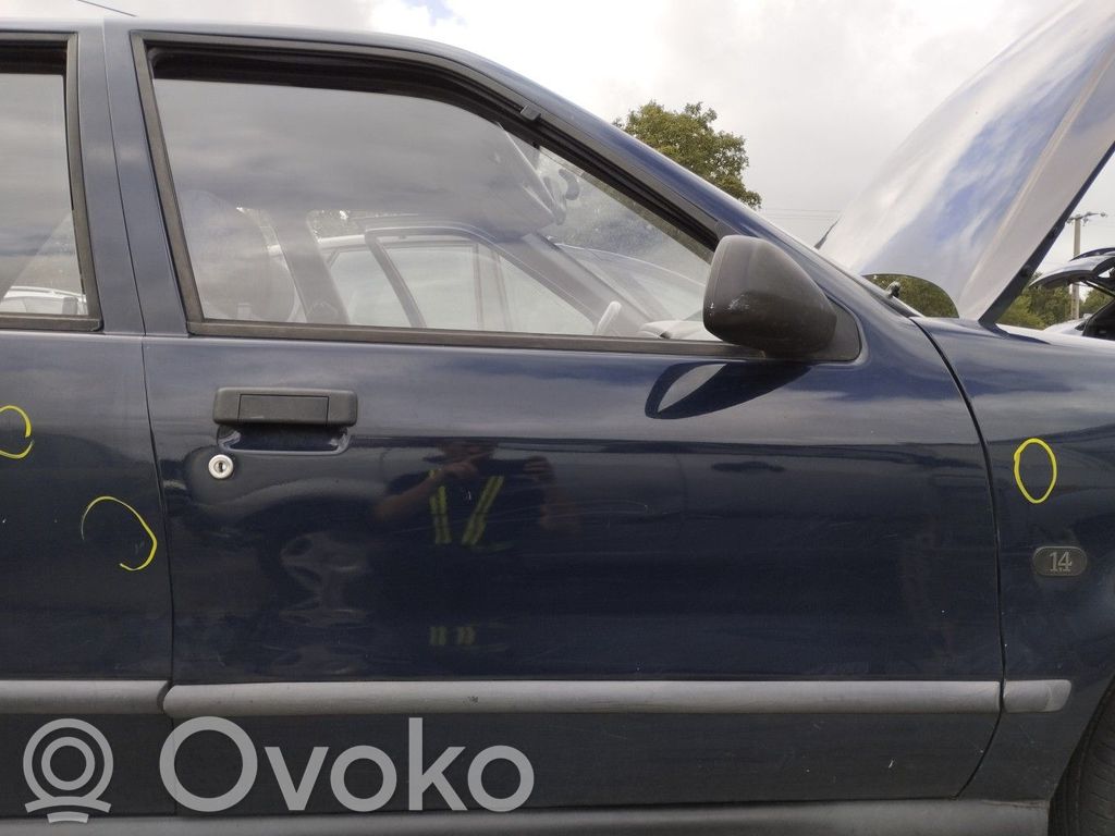 Renault 19 Durvis 