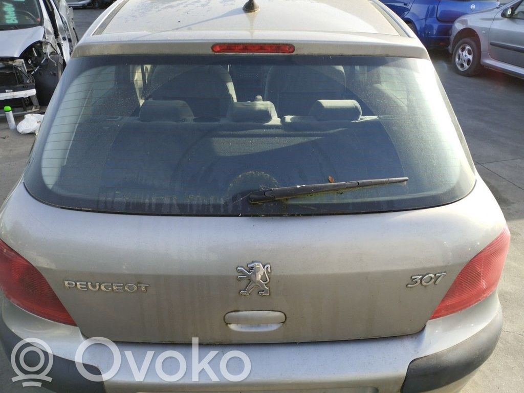 Peugeot 307 Third/center stoplight 