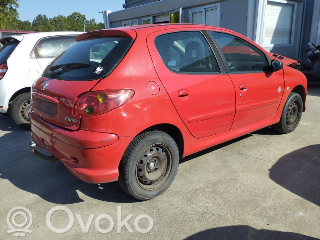 Peugeot 206 Stabdžių būgnas (galinis) 