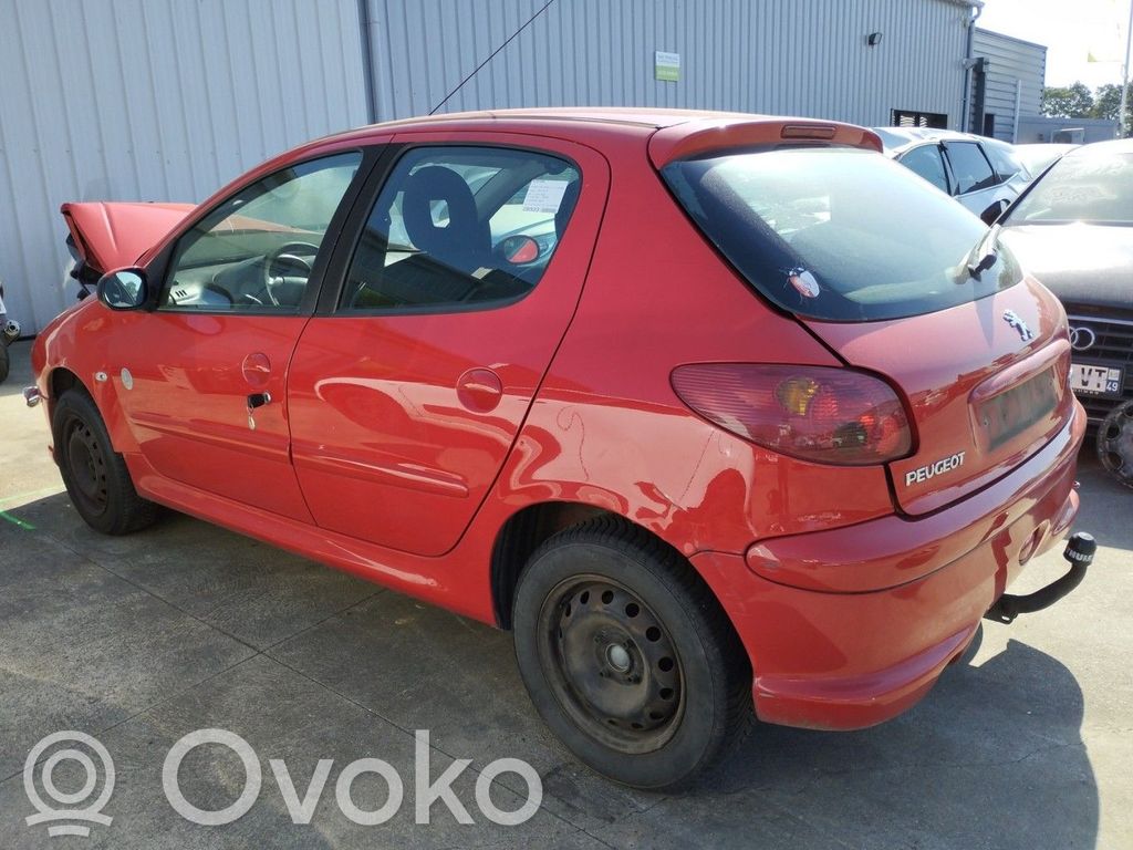 Peugeot 206 Stabdžių būgnas (galinis) 