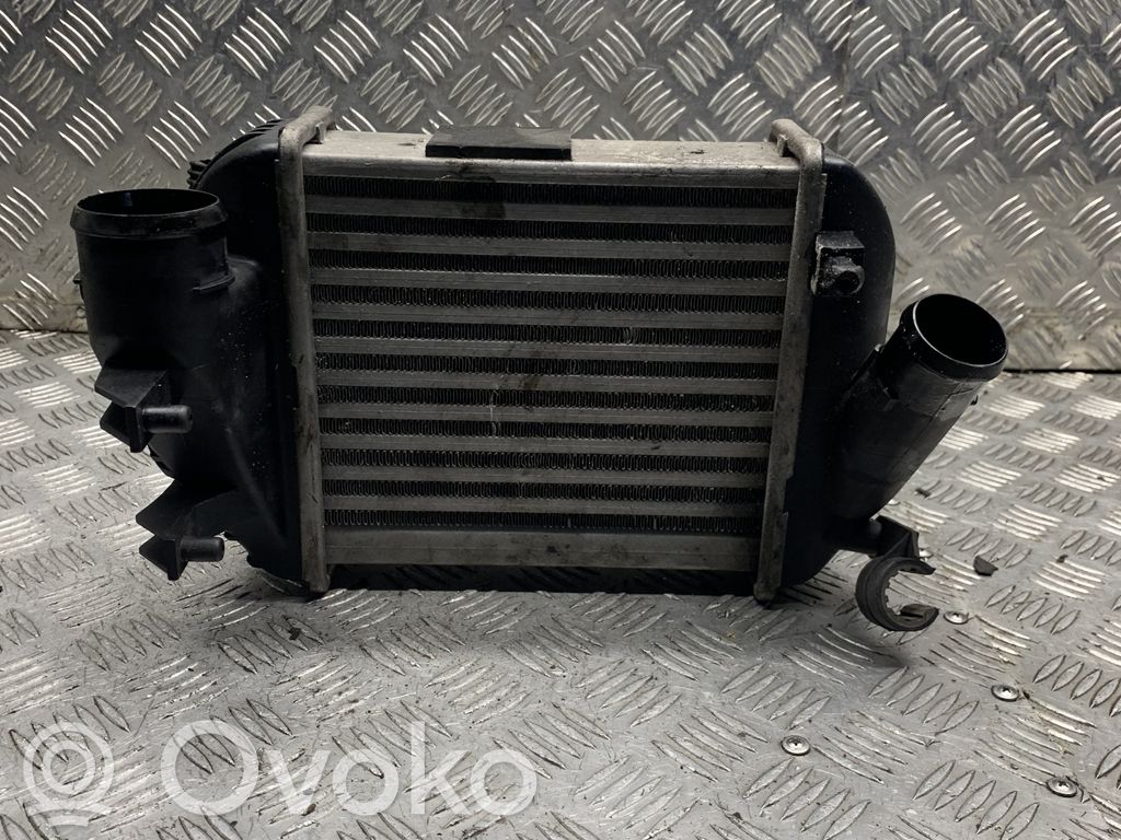 Audi A4 S4 B6 8E 8H Interkūlerio radiatorius 
