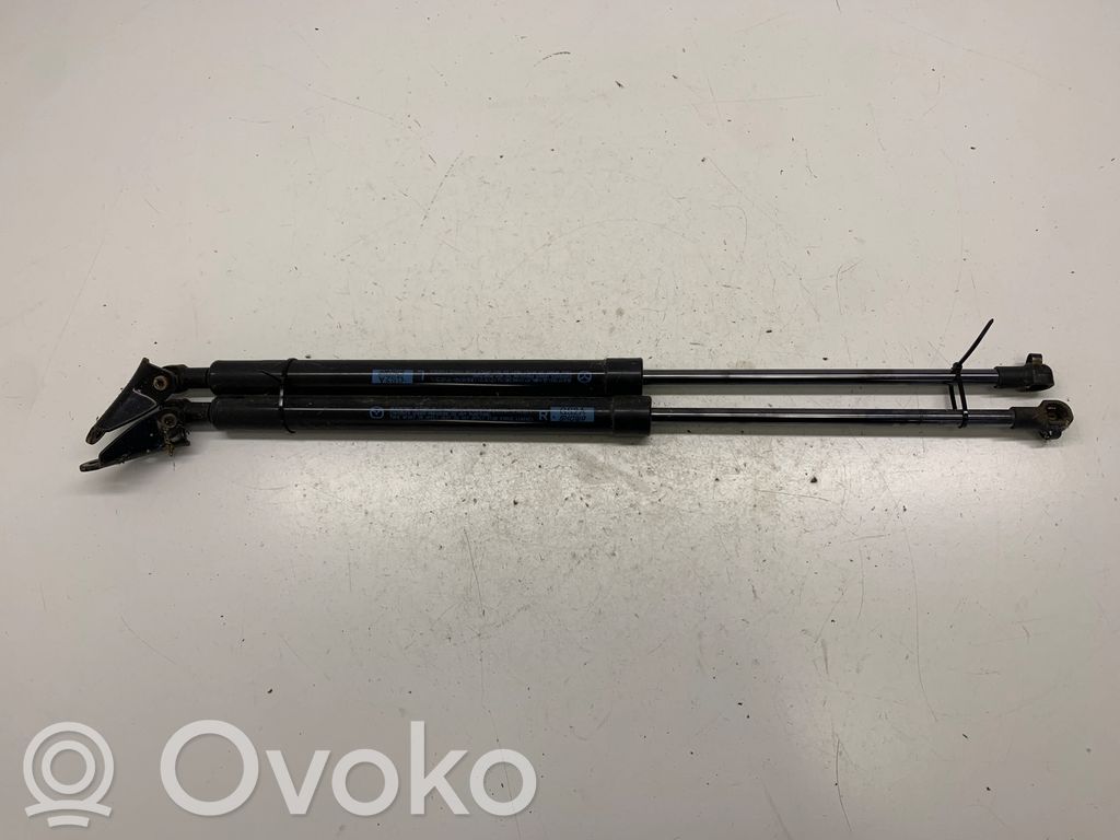 Dzinēja pārsega amortizators   GS2A,GS2A