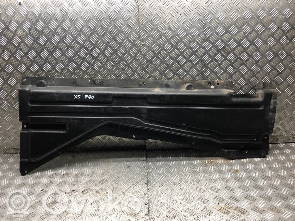 BMW X5 E70 Protección inferior lateral 