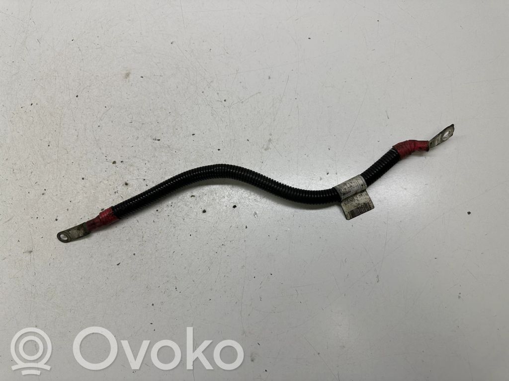 Plusa vads (akumulatora)   552600,779320003