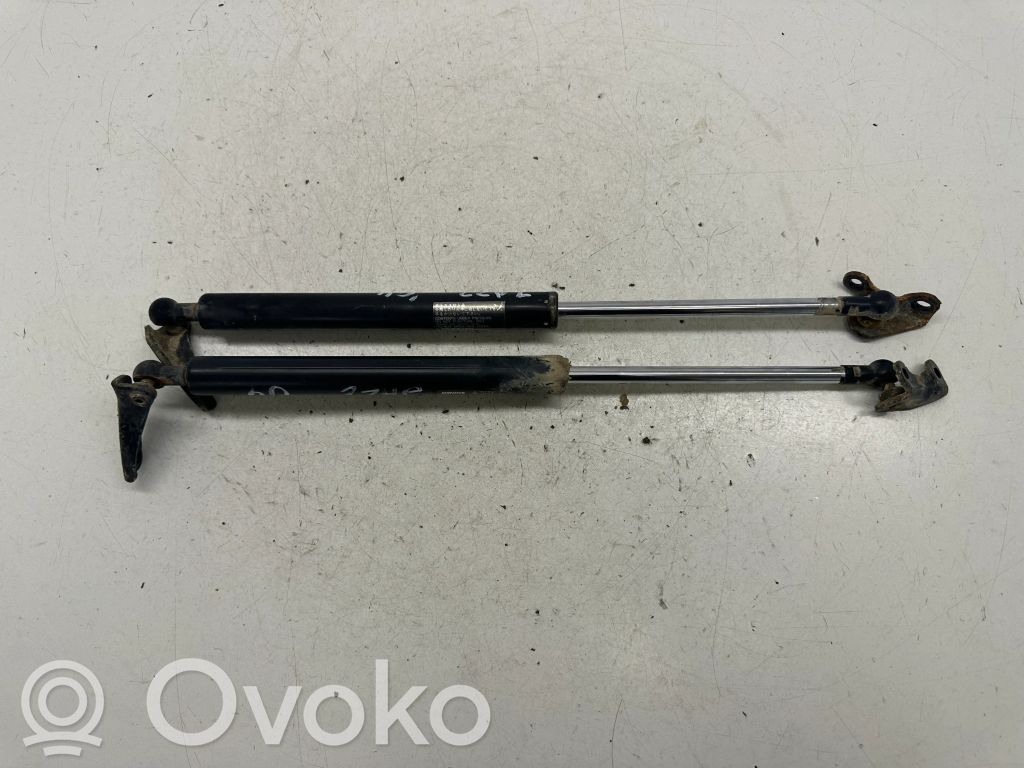 Tailgate/trunk strut/damper