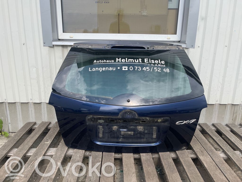Tailgate/trunk/boot lid