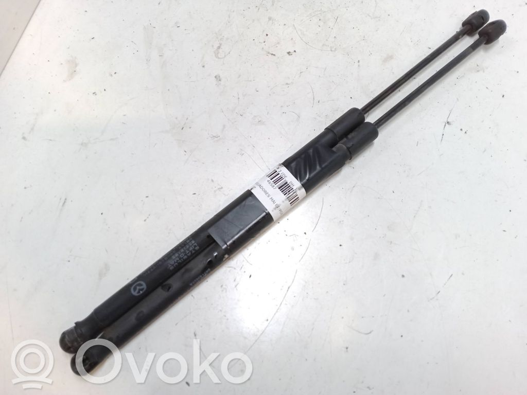 Tailgate/trunk strut/damper