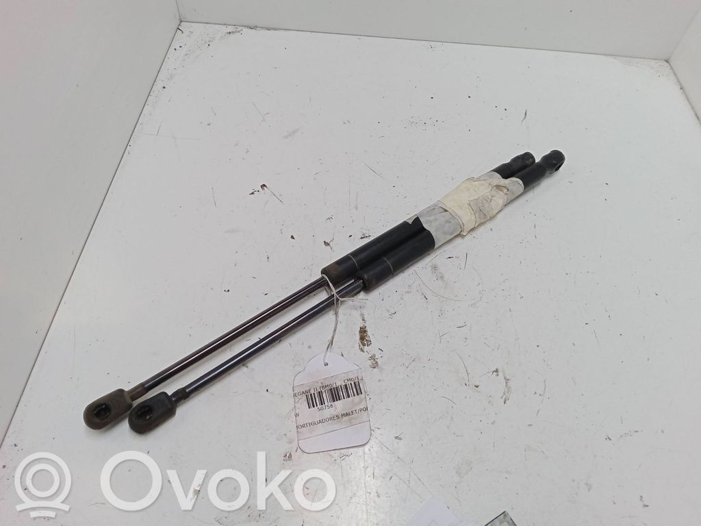 Tailgate/trunk strut/damper