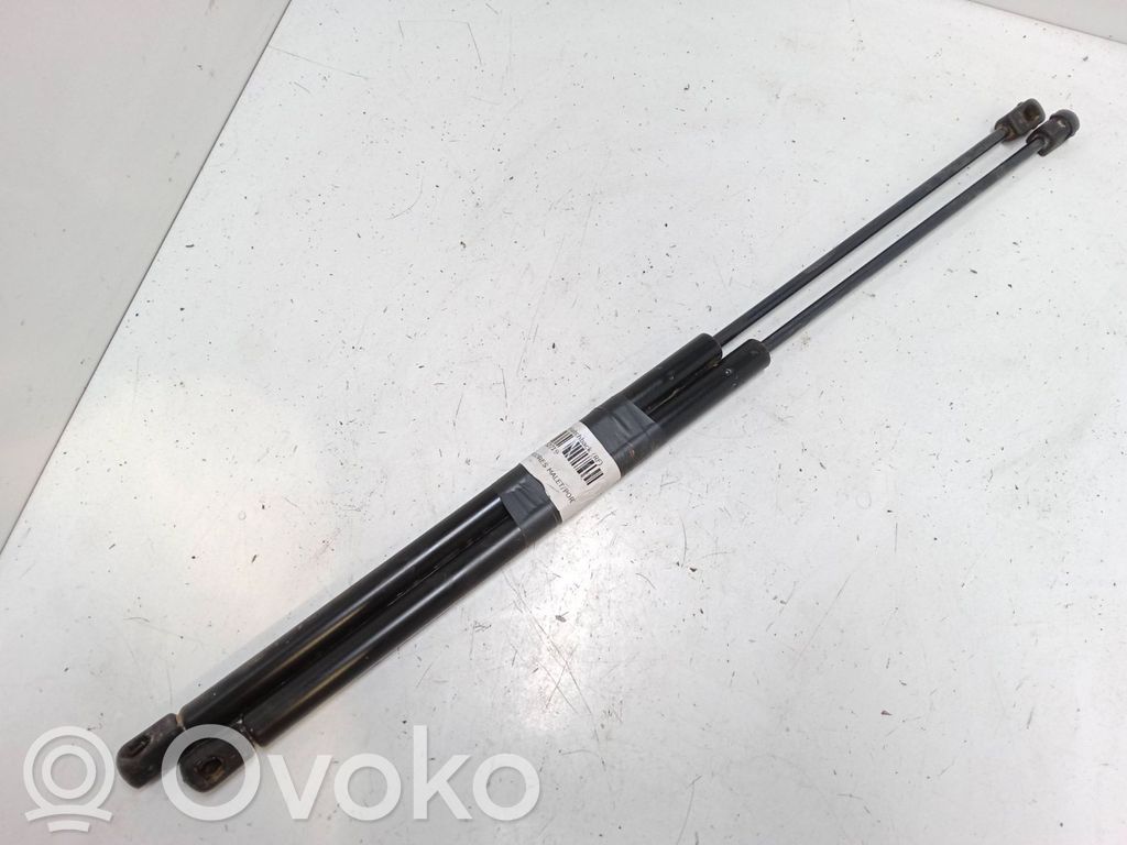 Tailgate/trunk strut/damper