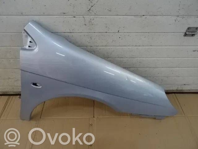 Fender