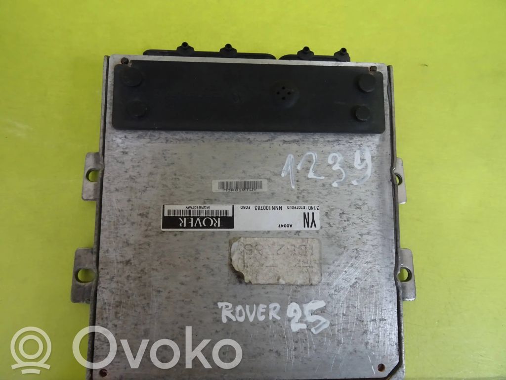 Rover 25 Engine control unit/module 