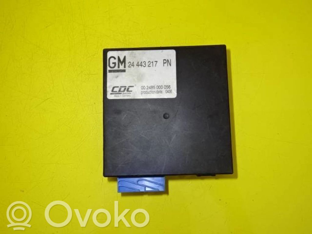 Opel Signum Suspension control unit/module 