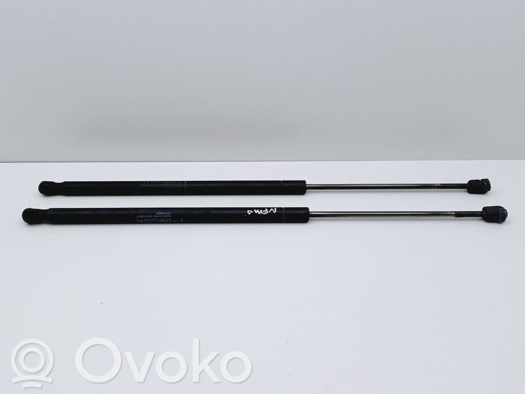 Tailgate/trunk strut/damper   1354844080
