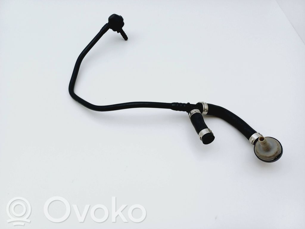 Volkswagen PASSAT B5 Caurulīte (-es) / šļūtene (-es) 