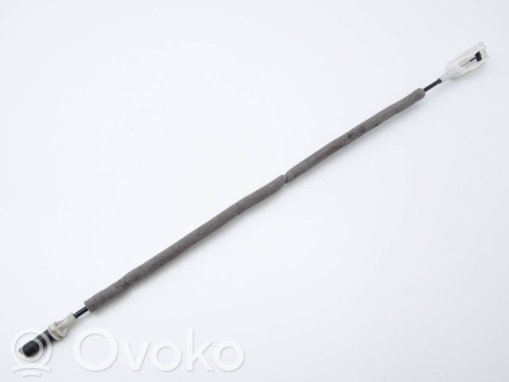Trosīte   8213797