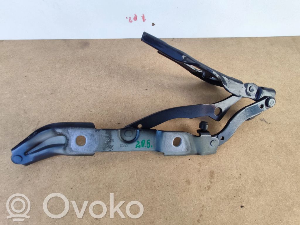 BMW 2 F22 F23 Cerniera portellone posteriore/bagagliaio 