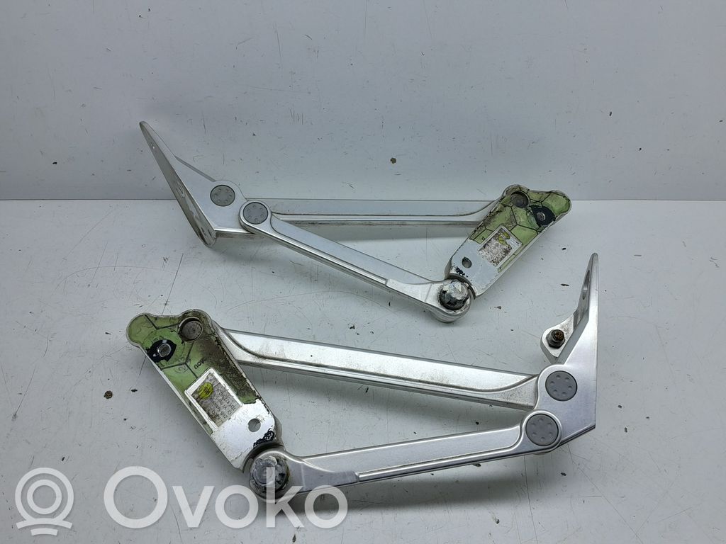 Volkswagen Phaeton Tailgate/trunk/boot hinge 