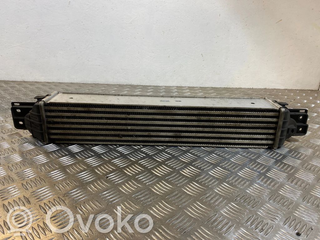 Interkūlerio radiatorius   96629070,622155,4805404