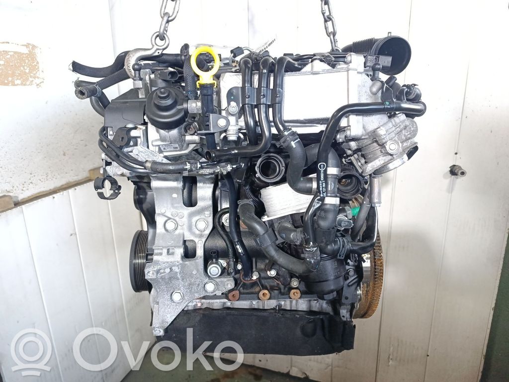 Motor   DFH,04L100091H