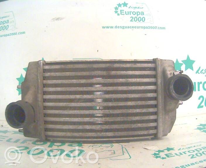 Intercooler radiator