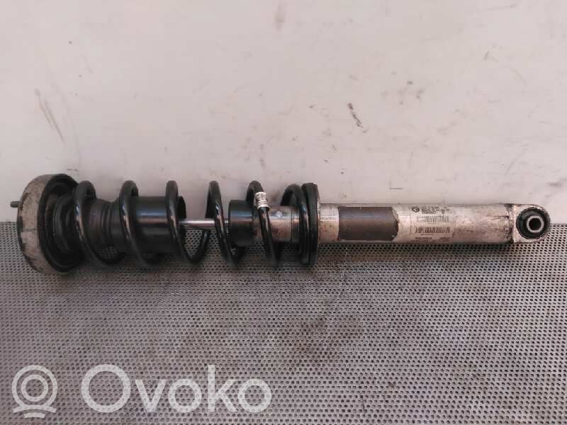 Stoßdämpfer hinten   33526785981