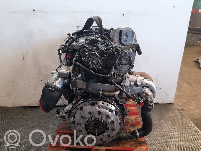Moteur   D5244T