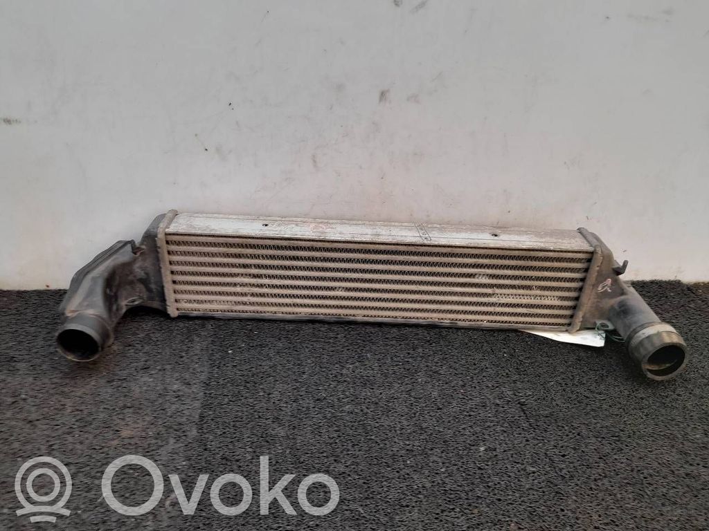 Intercooler radiator   17512246795