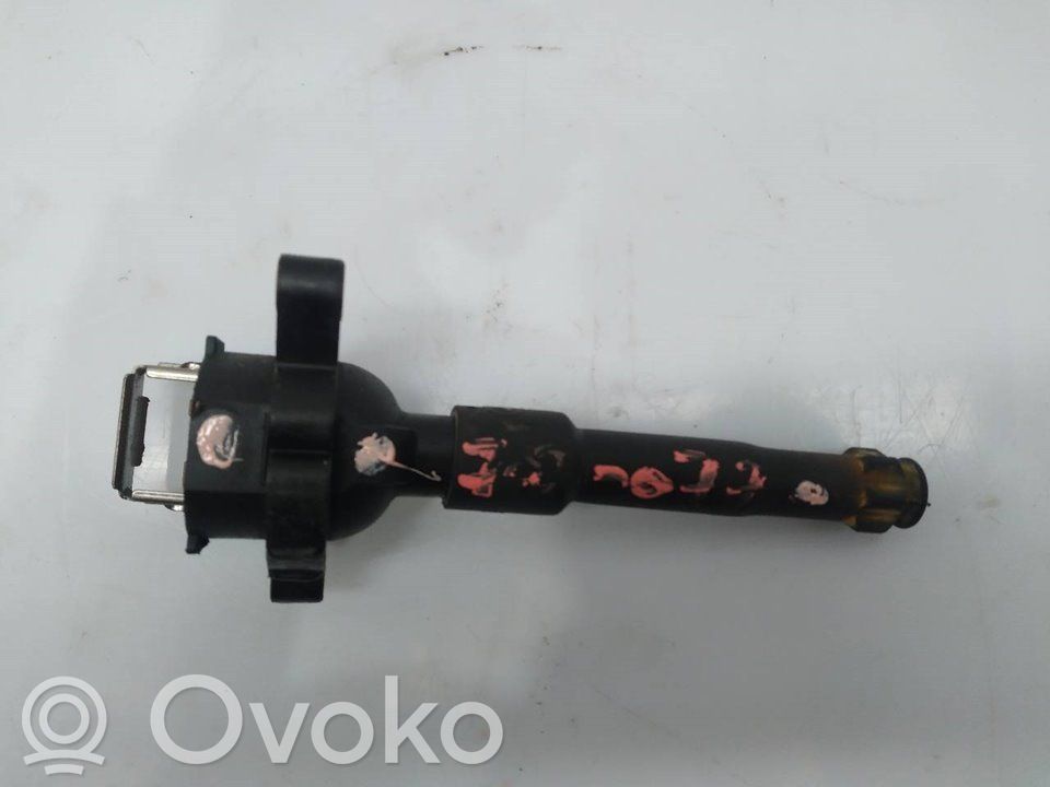High voltage ignition coil   1748017,11860,100498