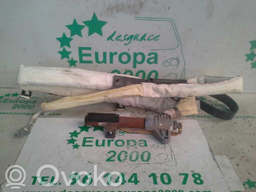 Airbag de la puerta delantera
