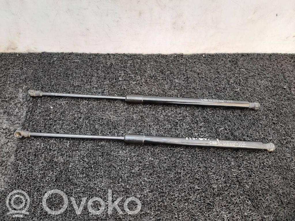 Tailgate/trunk strut/damper