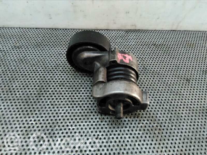 Întinzător curea generator/alternator