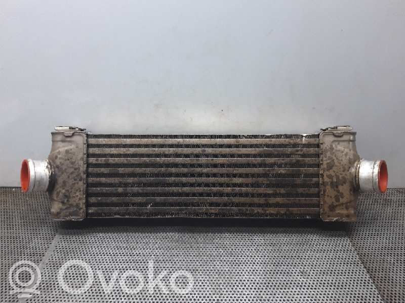 Interkūlerio radiatorius   8C119L440AC