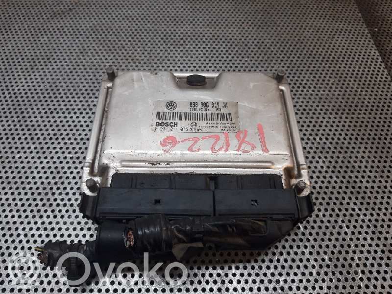 Centralina/modulo del motore   038906019JK,0281011075