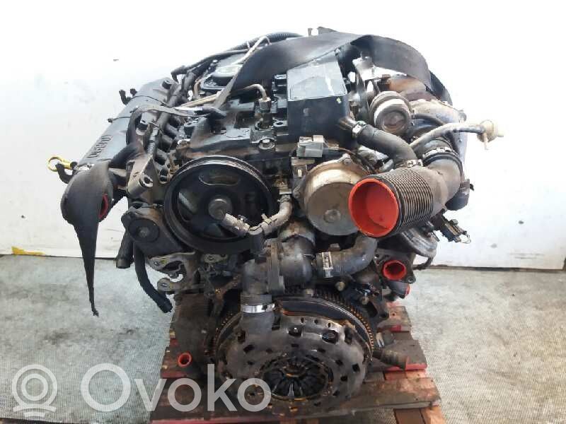 Motore   D5BA