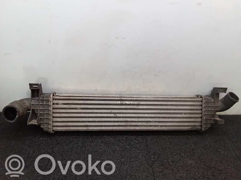 Radiador intercooler